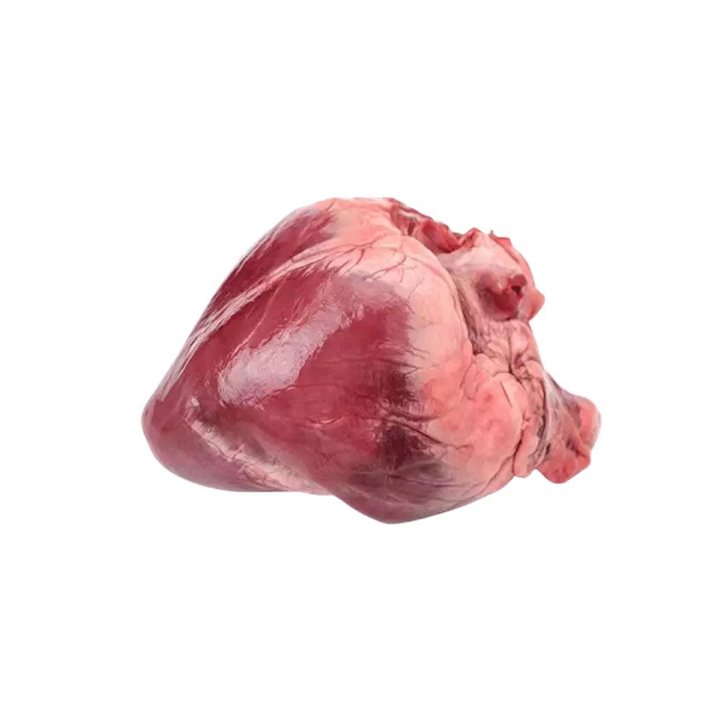 Tim heo Fribin