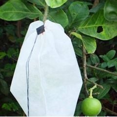 Bịch 100 túi vải (không dệt) NBDN – Túi bao trái, bảo vệ trái khỏi côn trùng, giữ trái sạch an toàn